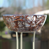 Clear Root Bowl - ORDER TODAY!