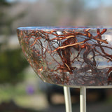 Clear Root Bowl - ORDER TODAY!