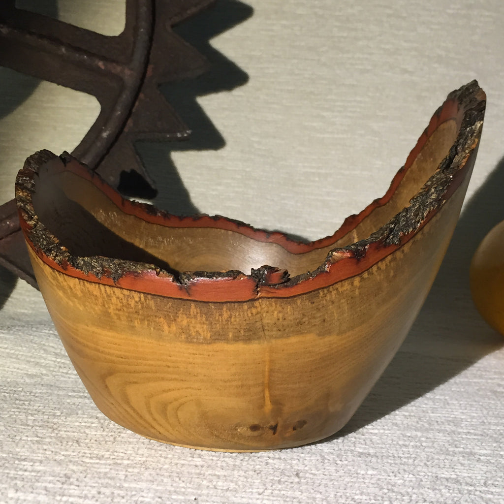 Sassafras Rocky Mountain Medium Bowl 2 of 3