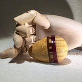 Eternity Band Egg