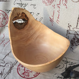 Giant Scoop Bowl