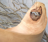 Giant Scoop Bowl