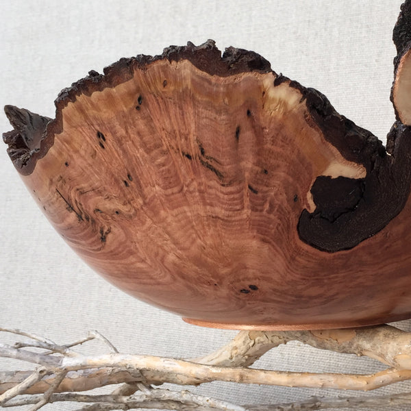 Dogwood Seashell Bowl