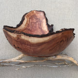 Dogwood Scoop Bowl