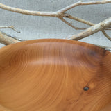 Yew (Taxus) Bowl