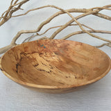 Large Maple with Turquoise Bowl