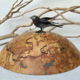 Large Maple with Turquoise Bowl
