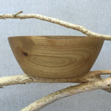 Sassafras Hand Bowl