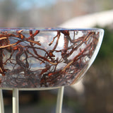 Clear Root Bowl - ORDER TODAY!
