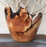 Curved Pine Root Bowl