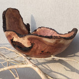 Dogwood Seashell Bowl