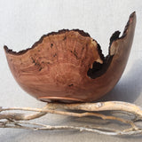 Dogwood Seashell Bowl