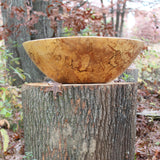 Mother Earth Bowl
